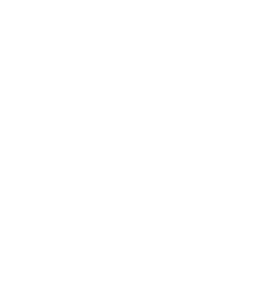 Coro S.r.l. logo